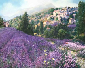 Lavender Fields